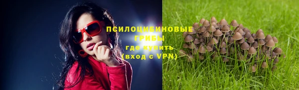 твердый Коряжма