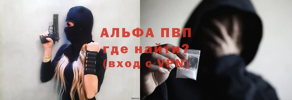 сатива Краснотурьинск