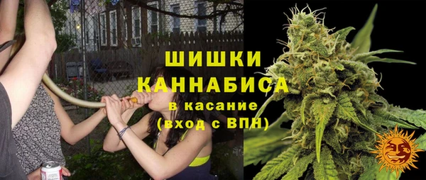 стафф Чекалин