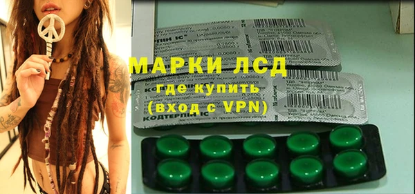 сатива Краснотурьинск