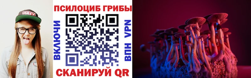 Псилоцибиновые грибы MAGIC MUSHROOMS хочу Тобольск